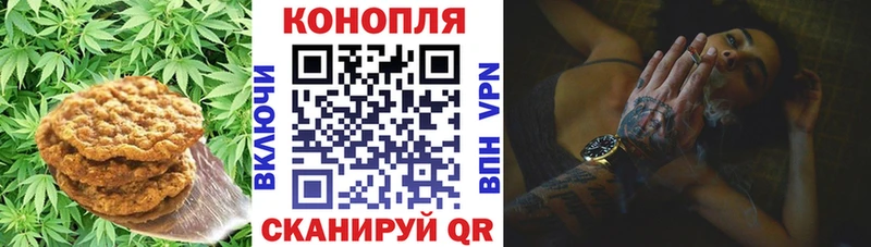 Canna-Cookies конопля  купить закладку  Бердск 
