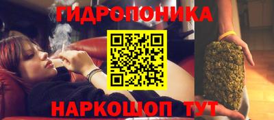 прущий лед Гай