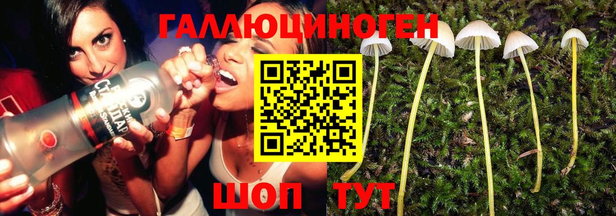 Псилоцибиновые грибы ЛСД Бердск
