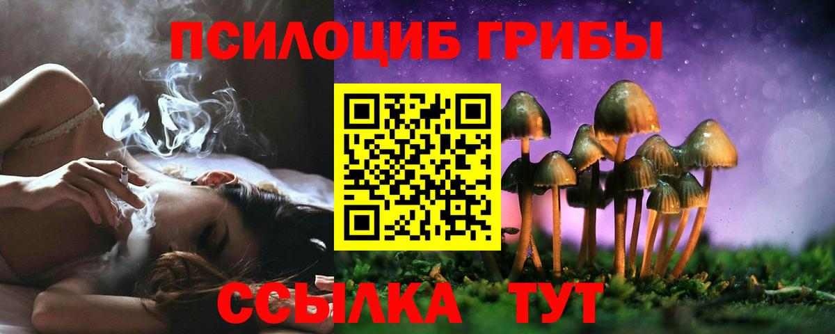 Галлюциногенные грибы Magic Shrooms  Вход с VPN  Псилоцибиновые грибы прущие грибы  Бердск 